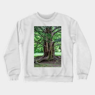 111815 how old am I Crewneck Sweatshirt